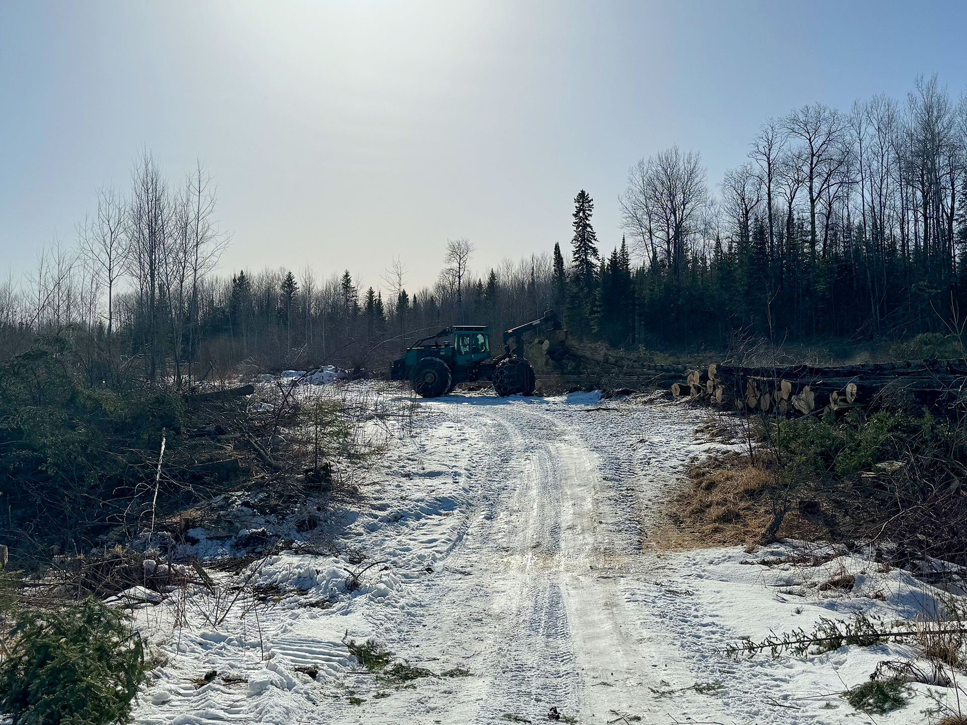 WIN - Subdivision - 05